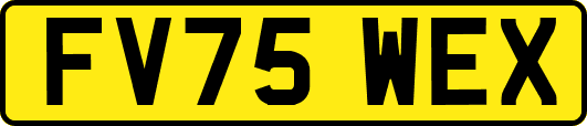 FV75WEX