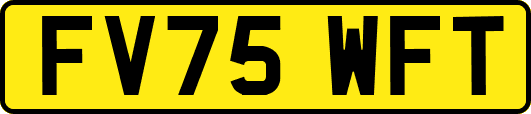 FV75WFT