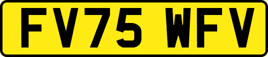 FV75WFV