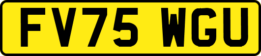 FV75WGU