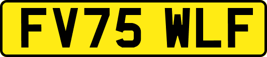 FV75WLF