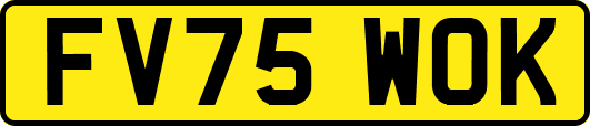 FV75WOK