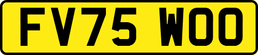 FV75WOO