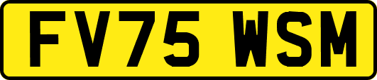 FV75WSM