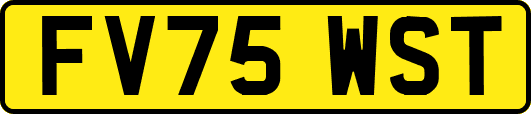 FV75WST
