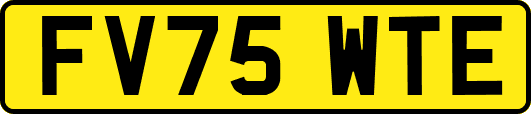 FV75WTE