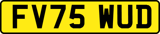 FV75WUD