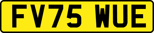 FV75WUE