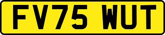 FV75WUT