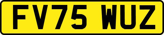 FV75WUZ