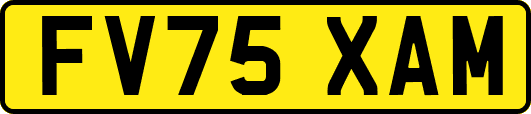 FV75XAM