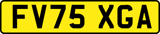 FV75XGA