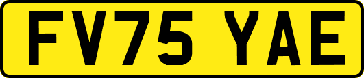 FV75YAE