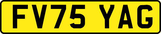 FV75YAG