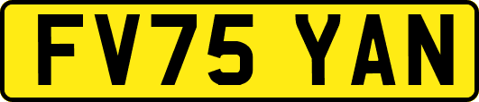 FV75YAN