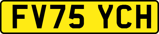 FV75YCH