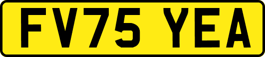 FV75YEA