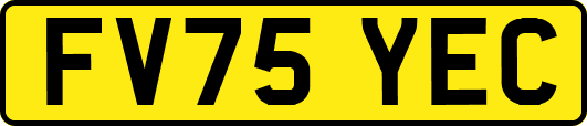 FV75YEC
