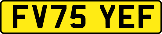 FV75YEF