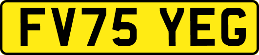 FV75YEG