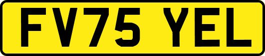FV75YEL