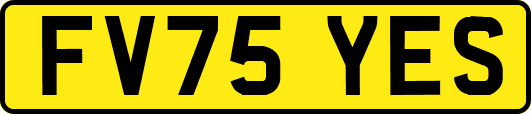 FV75YES