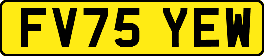 FV75YEW