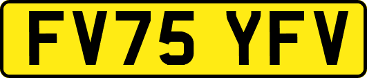 FV75YFV