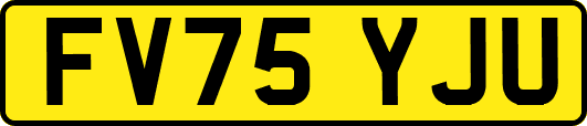 FV75YJU