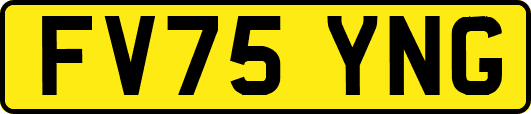 FV75YNG