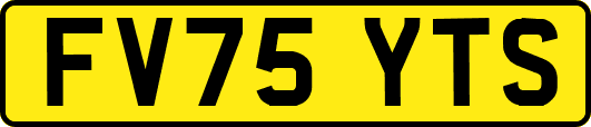 FV75YTS