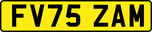 FV75ZAM