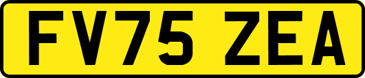 FV75ZEA