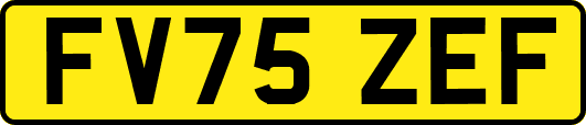 FV75ZEF