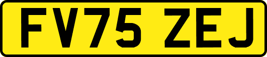 FV75ZEJ