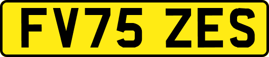 FV75ZES