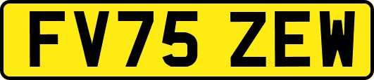 FV75ZEW
