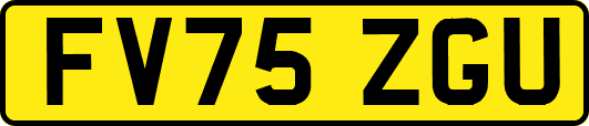 FV75ZGU