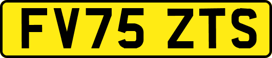 FV75ZTS