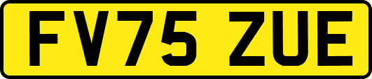 FV75ZUE