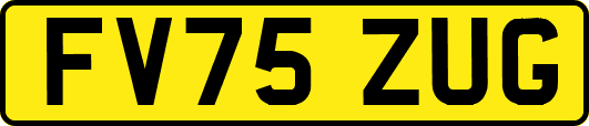 FV75ZUG