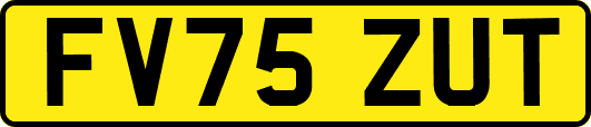 FV75ZUT