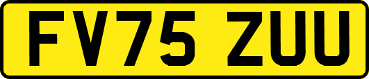 FV75ZUU
