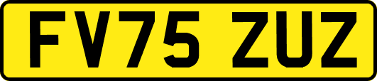 FV75ZUZ