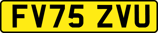 FV75ZVU