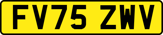 FV75ZWV