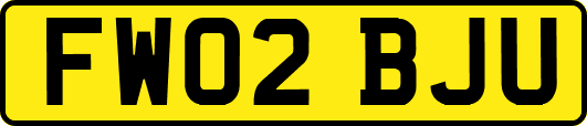 FW02BJU