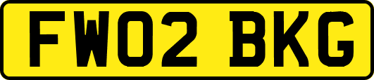 FW02BKG