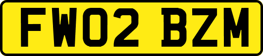 FW02BZM