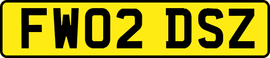 FW02DSZ